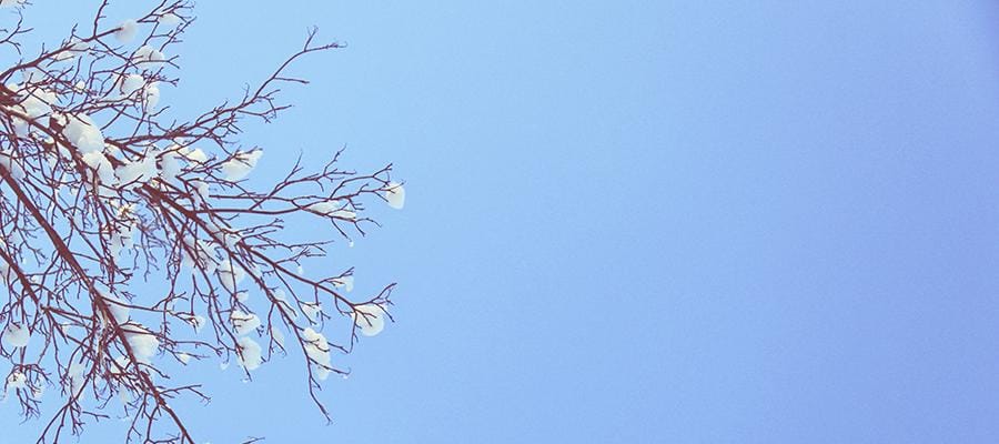 Cuaresma: Disponerse a la alegría de la Pascua