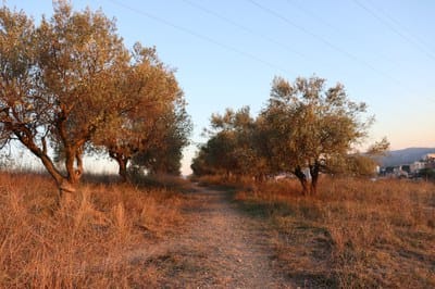 Un paseo por los alrededores de Can Xercavins