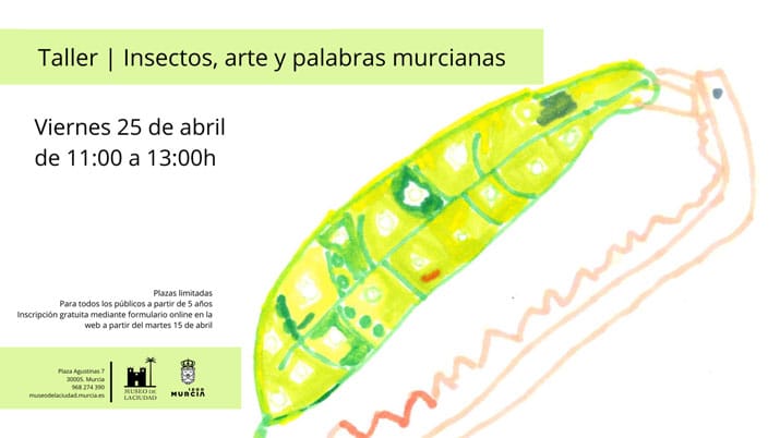 Taller 'Insectos, arte y palabras murcianas'