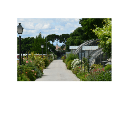 Visita guiada Vivero Estufas de El Retiro