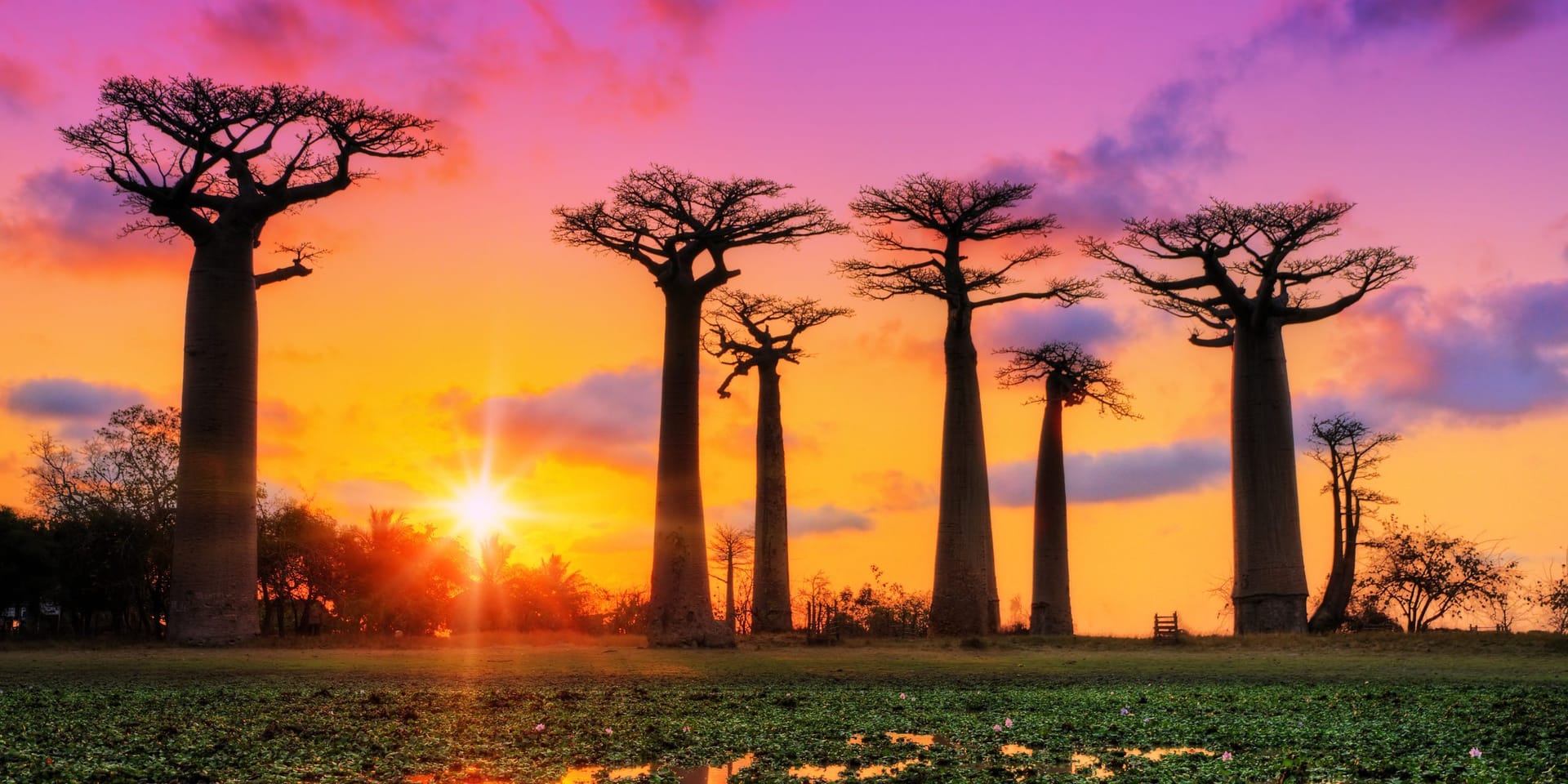 África MOVE impulsa la formación universitaria y la innovación