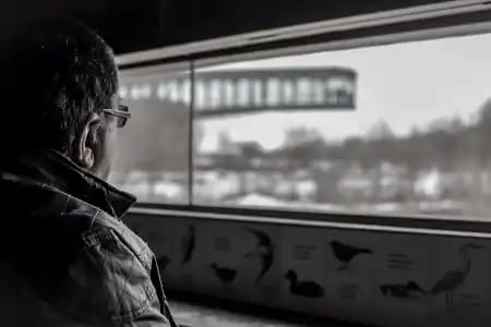 Recorrido naturalístico: Una mañana en Salburua