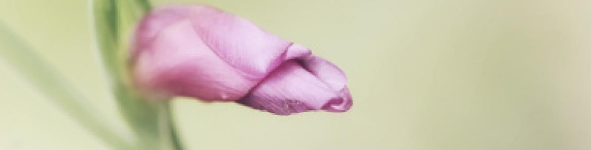 Exposición fotográfica: Vida y Color