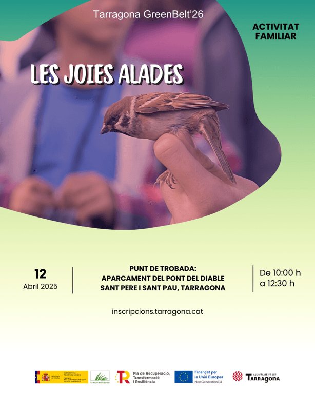 Les Joies Alades. Resclosa de Sant Salvador