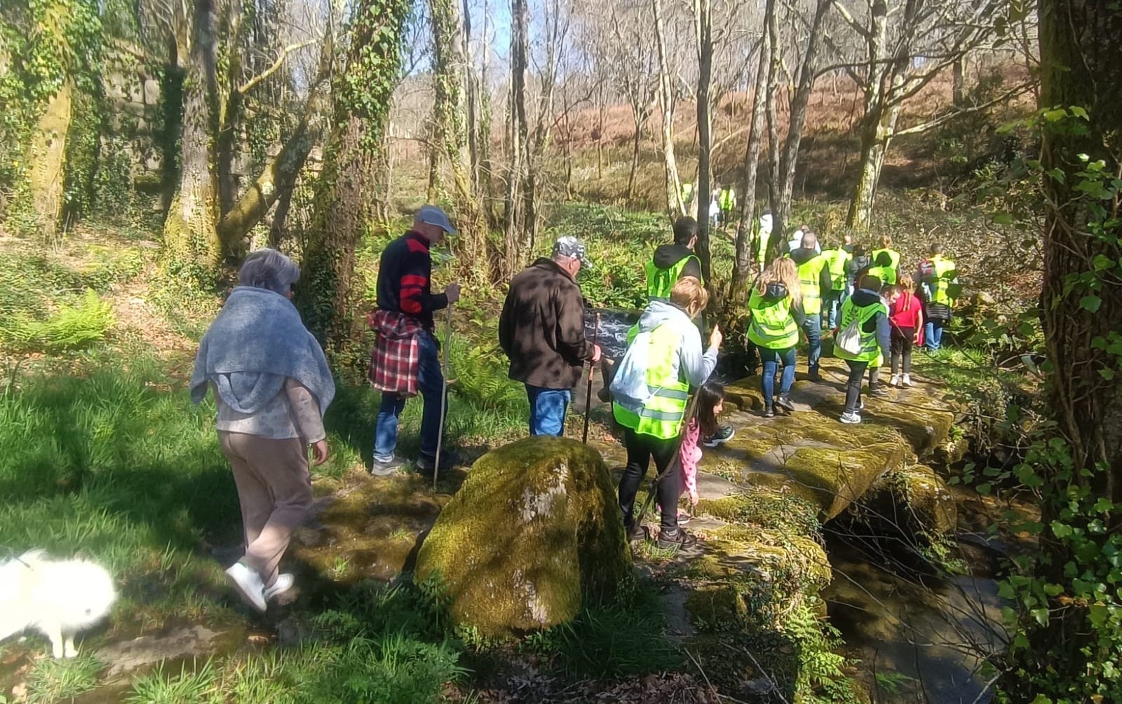 Taller infantil de estampación