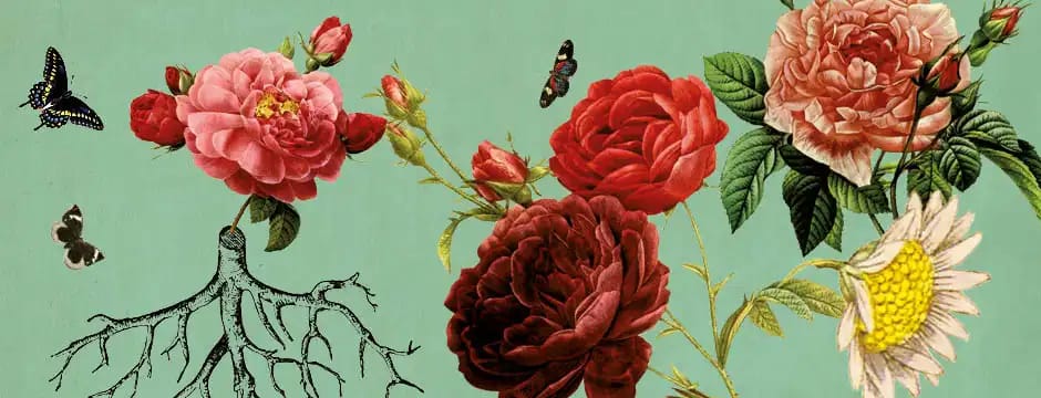 Nuevas narrativas sobre las mujeres LBTQ+ refugiadas