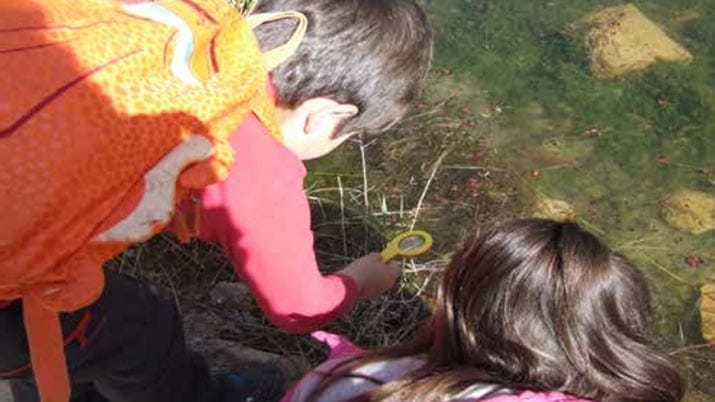 Ruta Guiada La Gran Sapoaventura