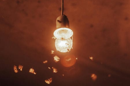 Conferencia: Contaminación lumínica - El efecto de la iluminación artificial en mariposas nocturnas y otros insectos