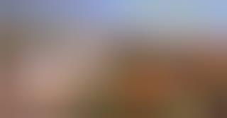 Visita guiada al Museo de Málaga - Sección de Bellas Artes