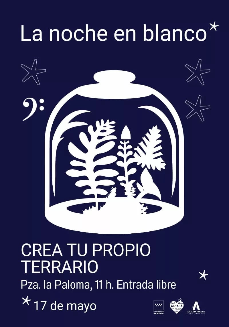 Ciencia divertida: Crea tu propio terrario