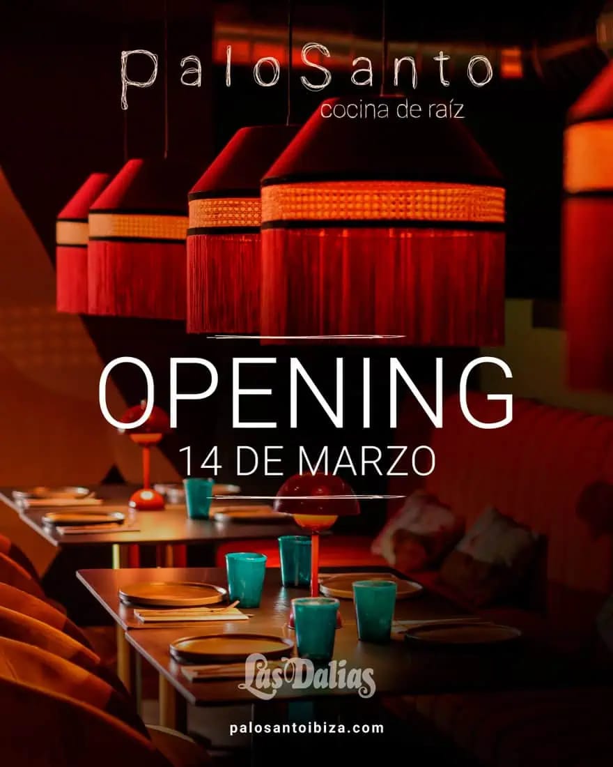 Opening de PaloSanto