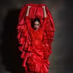 Inspiration - Flamenco show