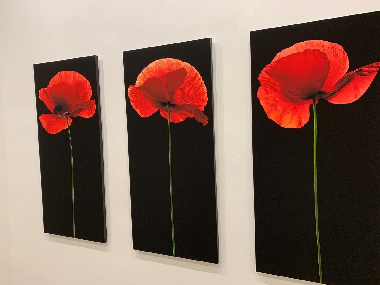 Exposición de fotografía de Mar Garrido
