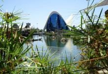 Descubre el Lago Vivo en el Oceanogràfic