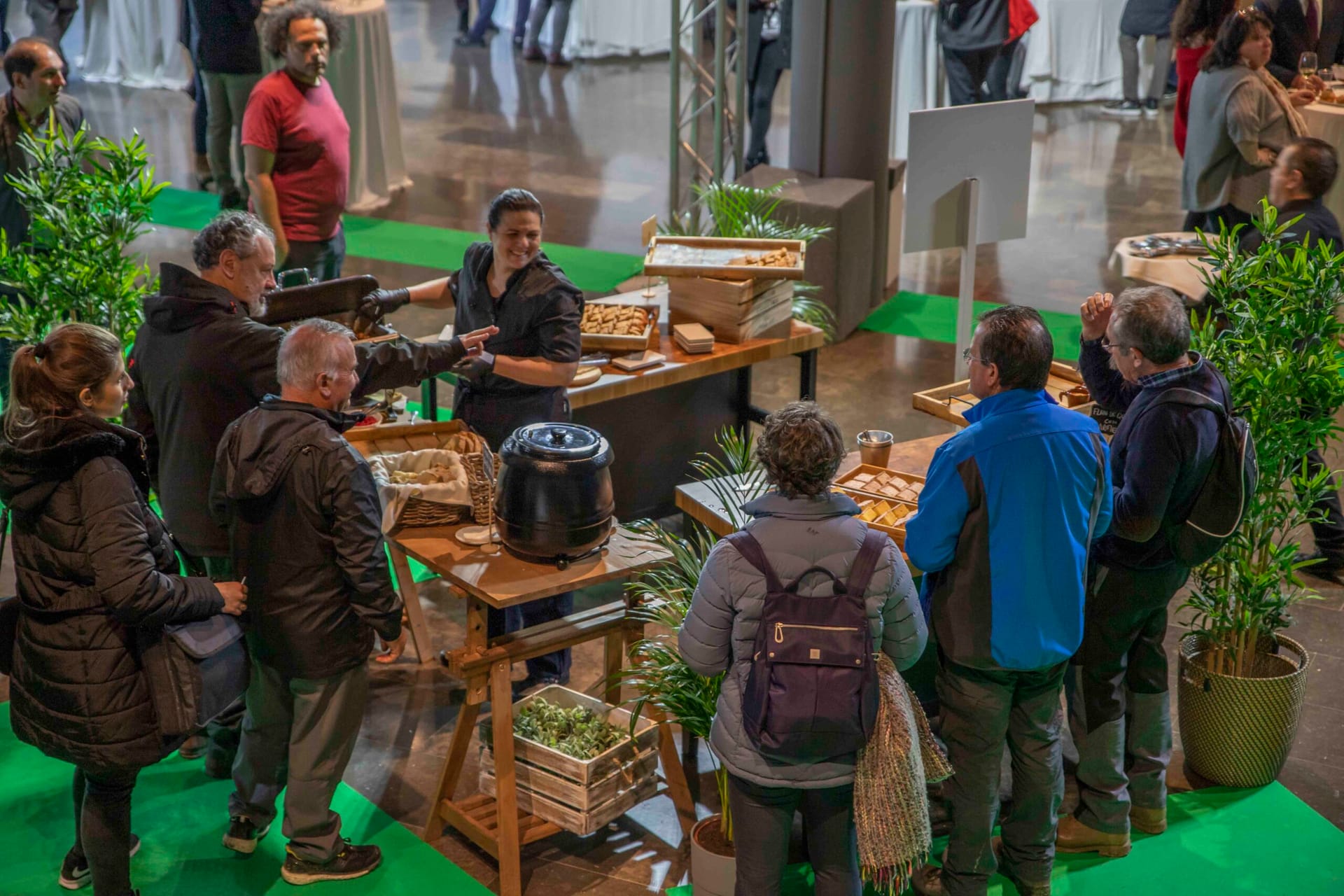 Vermú y quesos. 'Una ruta por los sabores de la Provincia que sabe'