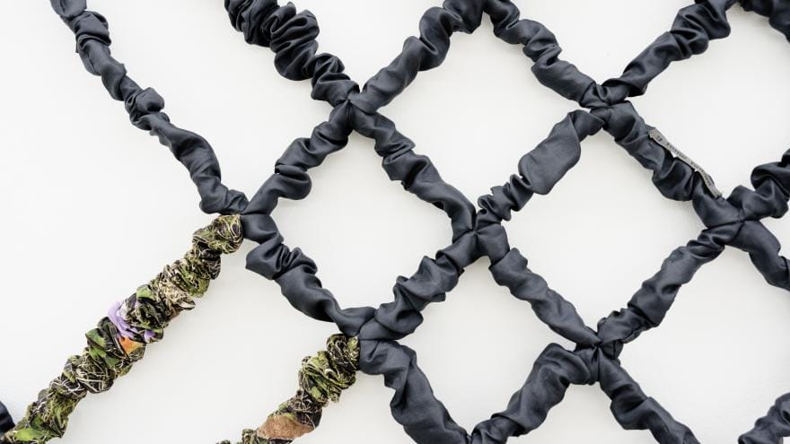 Exposición “Las iguanas van a morder a los hombres que no sueñan”