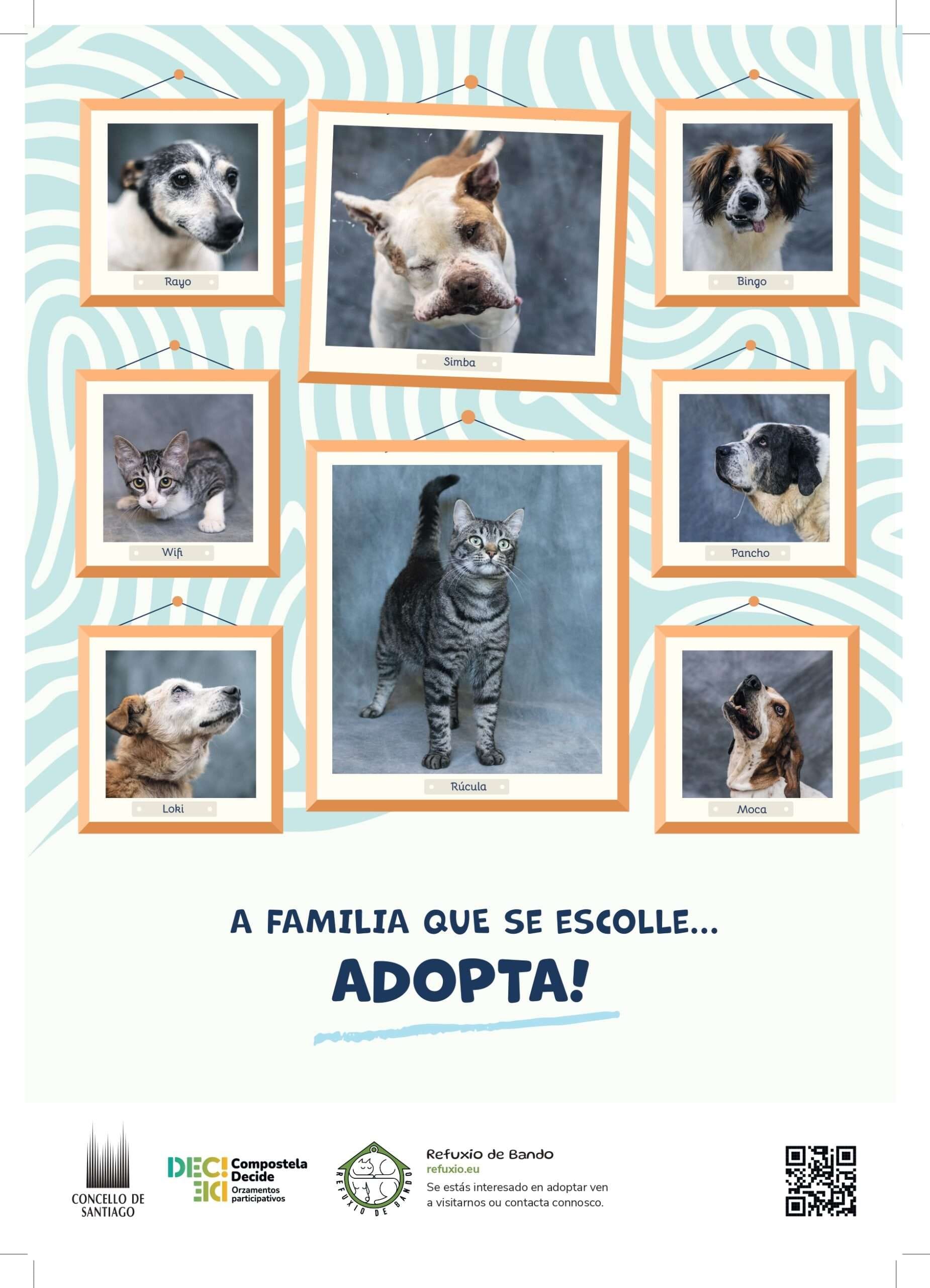 A familia que se escolle. Adopta