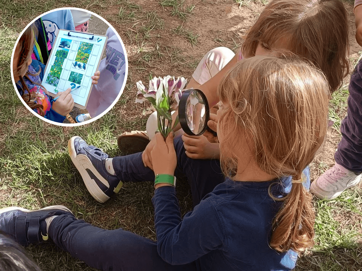 Exploreu la natura a la Masia d'en Cabanyes