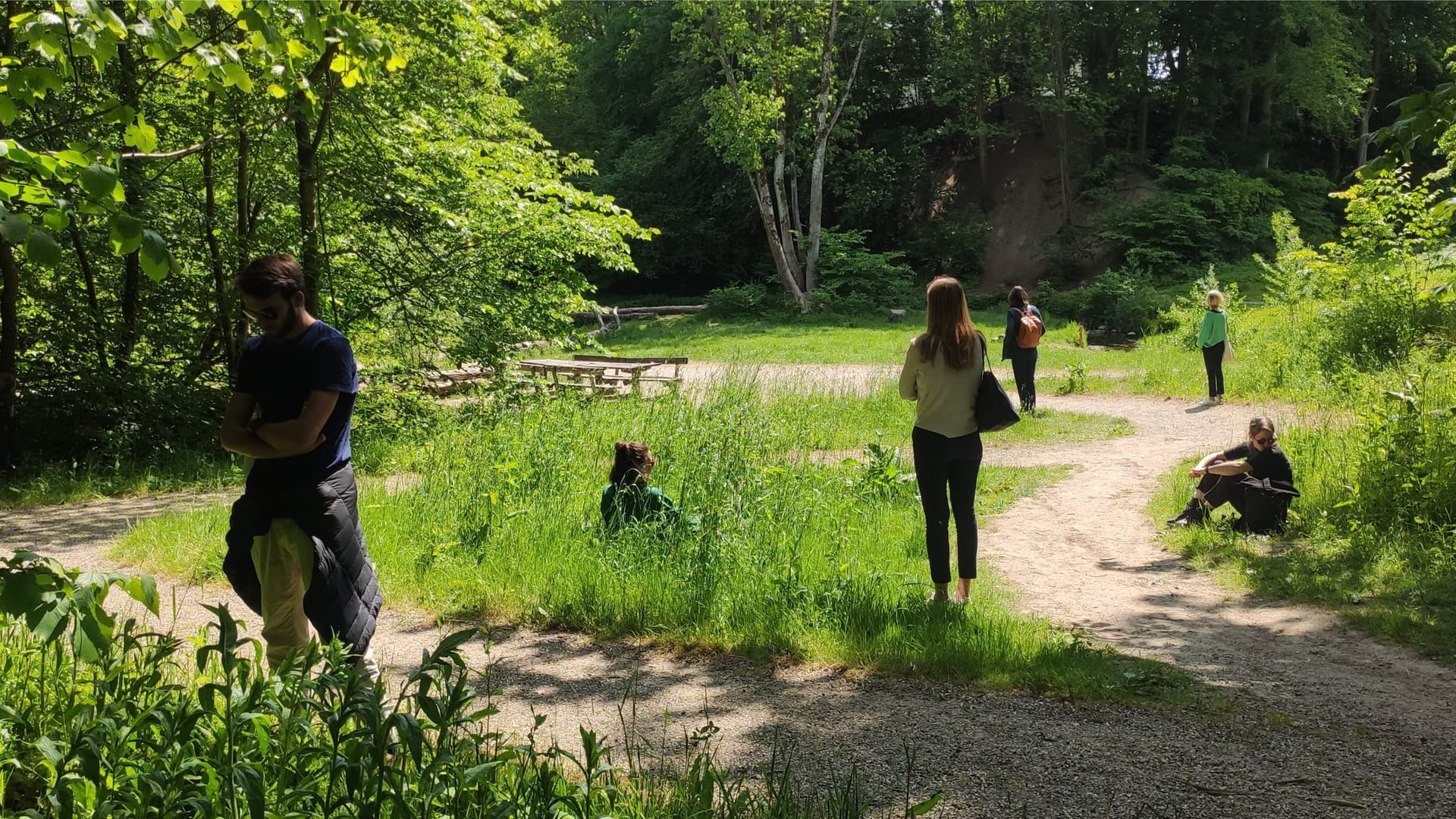 Baños de Bosque / Forest Bathing