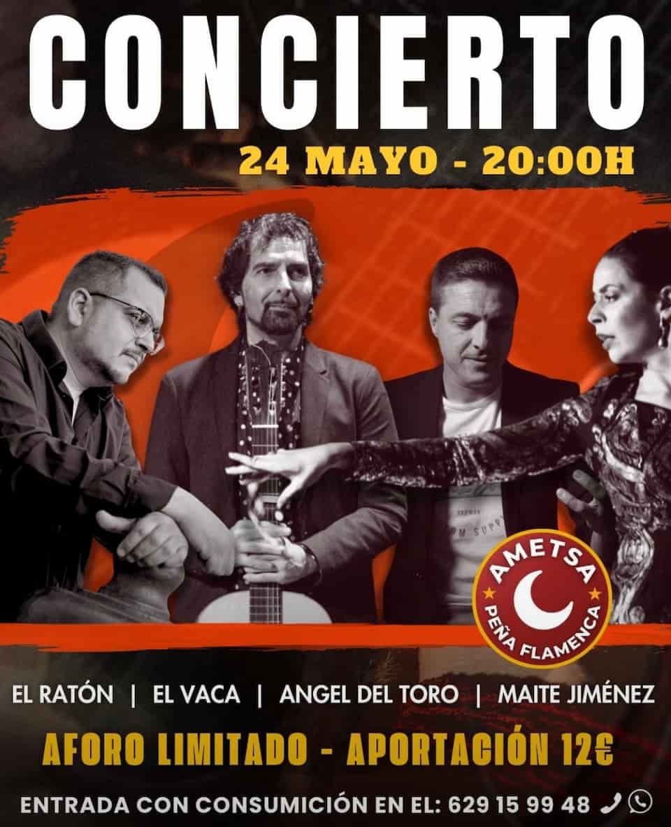 Ametsa Peña Flamenca