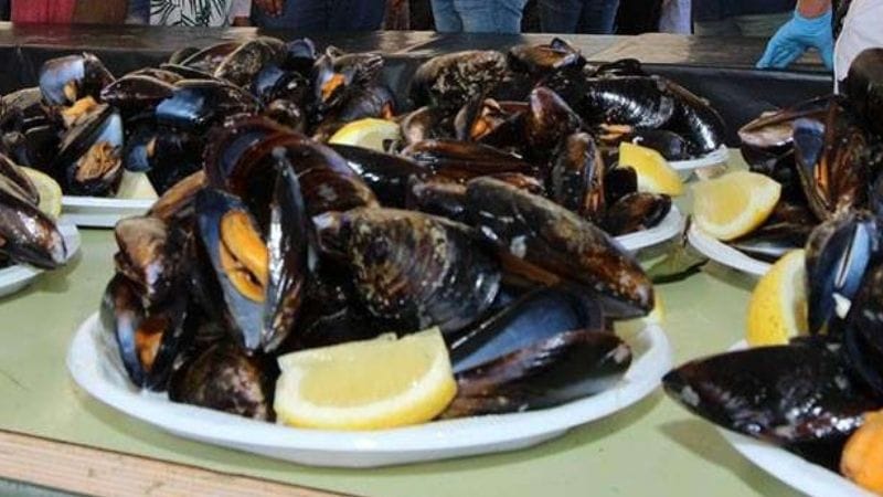 Festa do Mexillón 2025