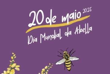Día Mundial da Abella 2025