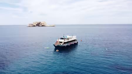 Natural Park Aquarium by Capitan Nemo