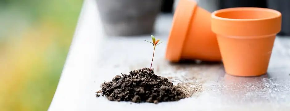 Curso: Conoce tu suelo