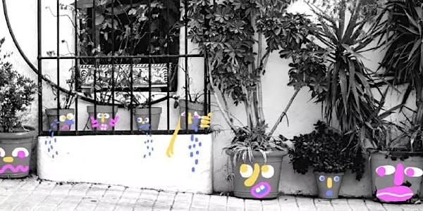 Mitolatorio nocturno. DIM 2025