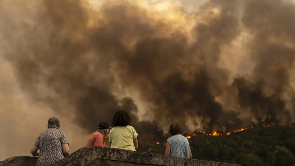 Recogida de ayuda para afectados por incendios forestales