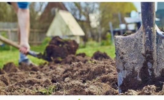 BUC Bosque comestible