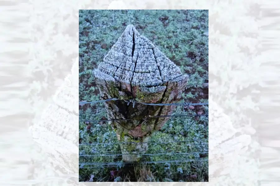 Tertulia literaria: Urrats galduen hotsa