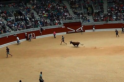 Vaquillas