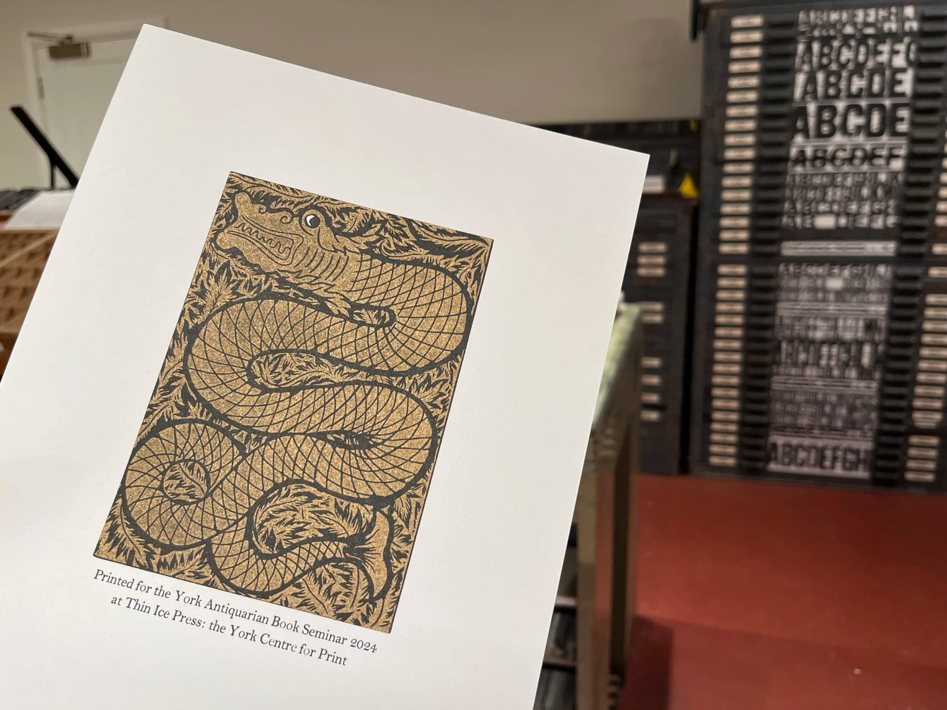 Thin Ice Press: the York Centre for Print