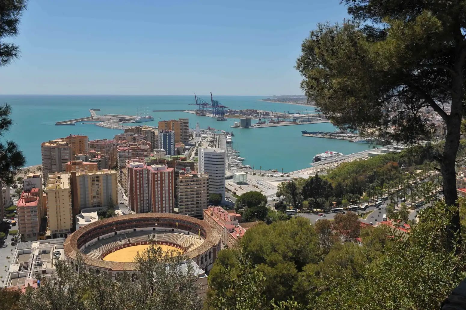 Conferencia de Manuel Olmedo y Paco Reyero - Ciclo De Gálvez 250