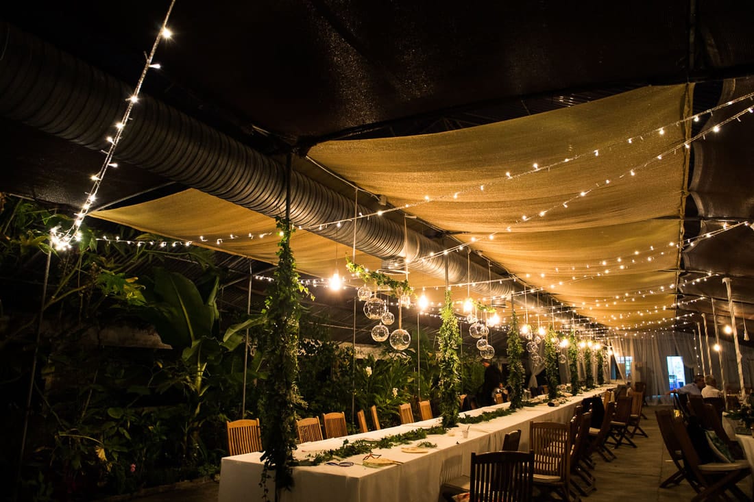 Fiesta blanca ibicenca La Discoteca del Yo