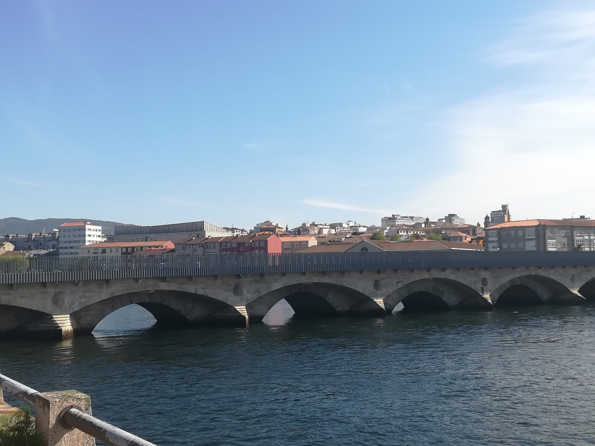 Reparto de conchas de peregrino