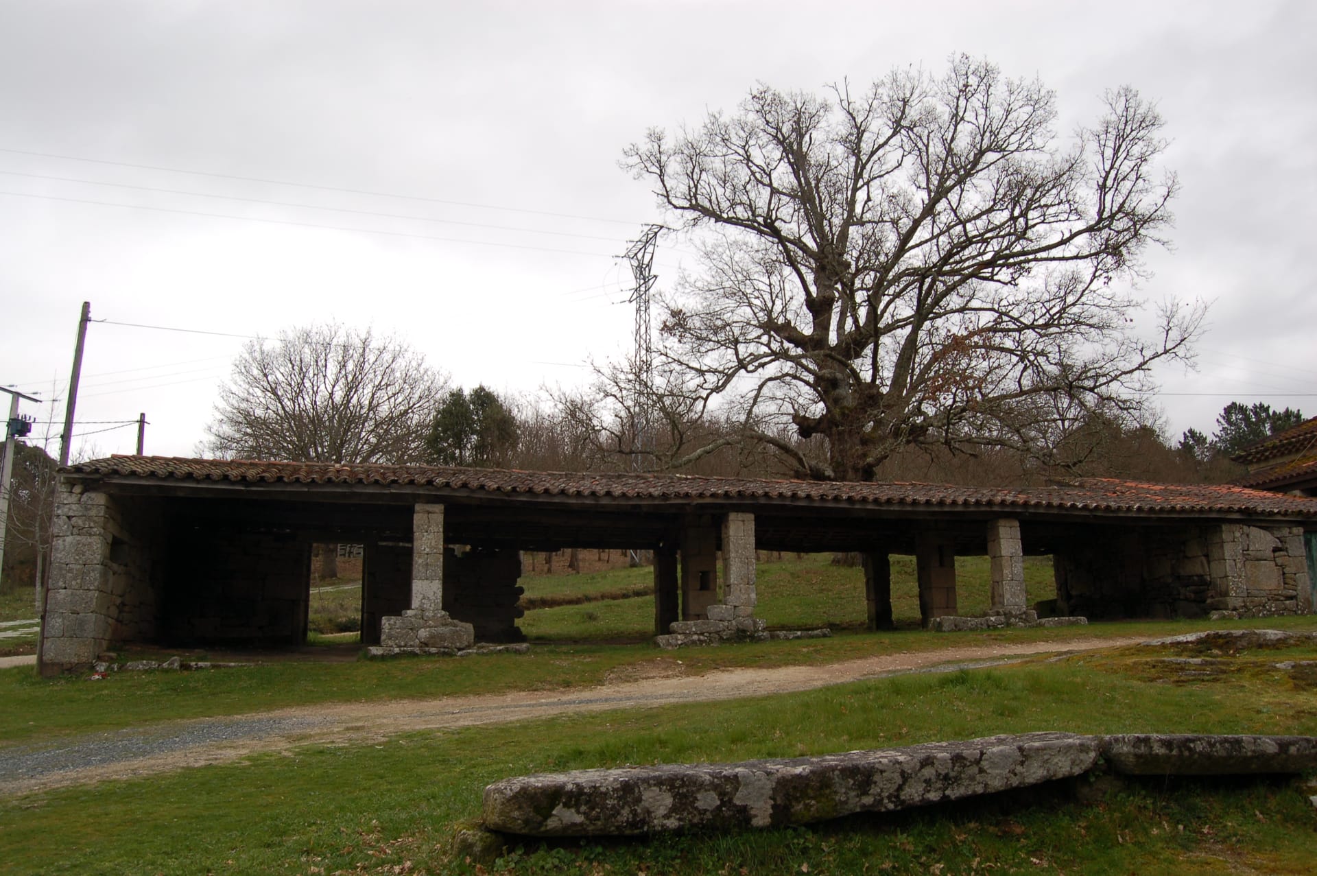 La Feria del Paripé