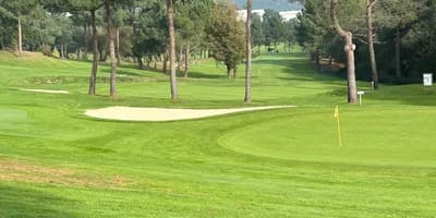 Limpieza Montealegre