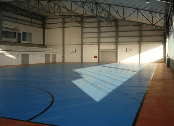 Galas de Navidad de gimnasia rítmica