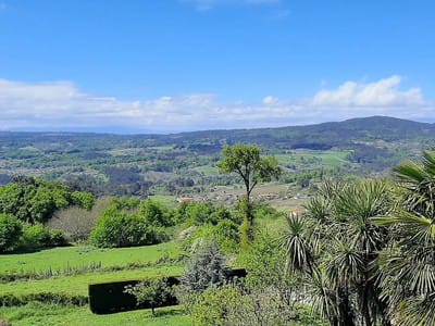 Fiestas de San Vitoiro y San Agustín