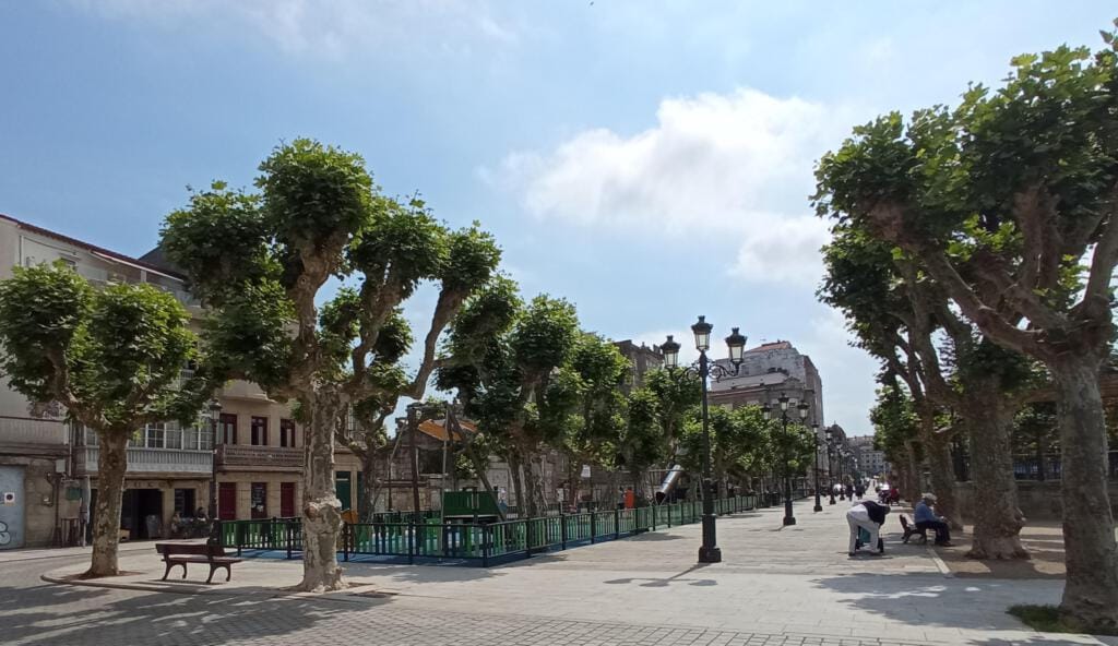 Poción mágica del deseo de fin de año