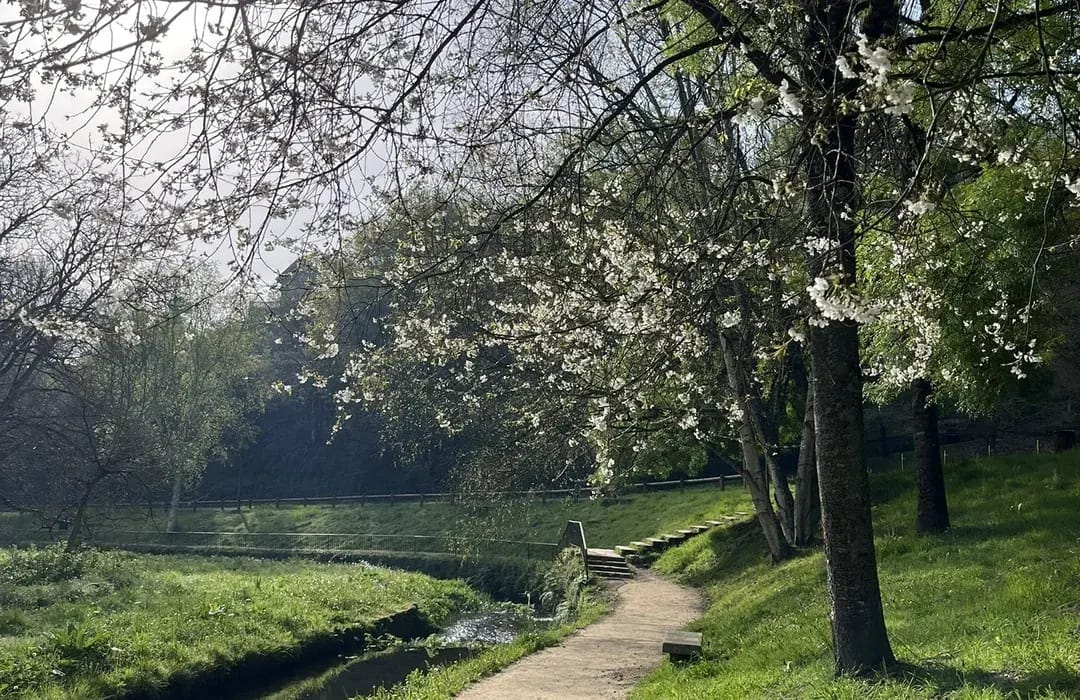 Hortalizas mimadas por el río Rato: así son los huertos urbanos de Lugo