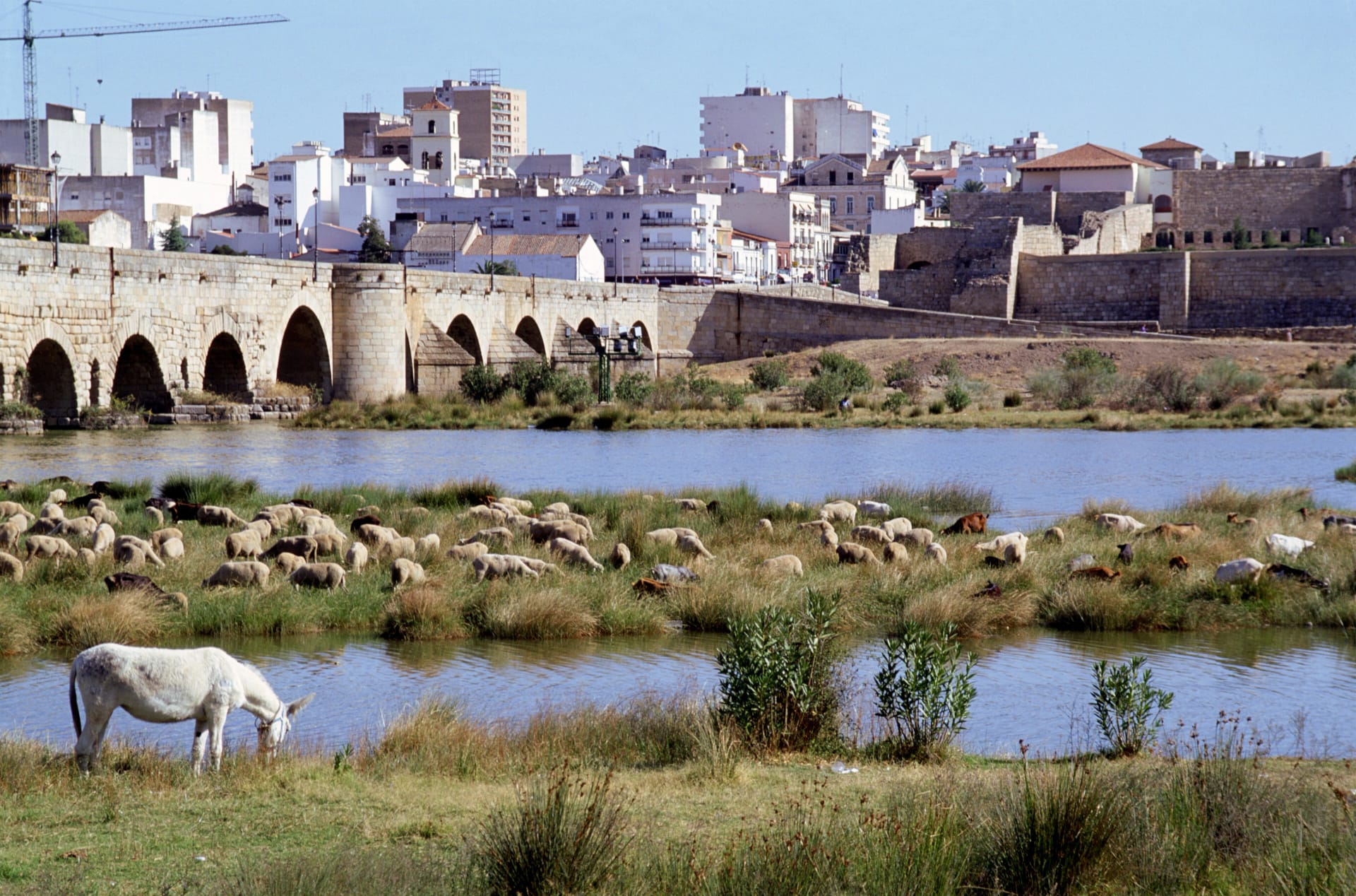 Iluminación del Puente Romano por el Día Mundial contra el Cáncer