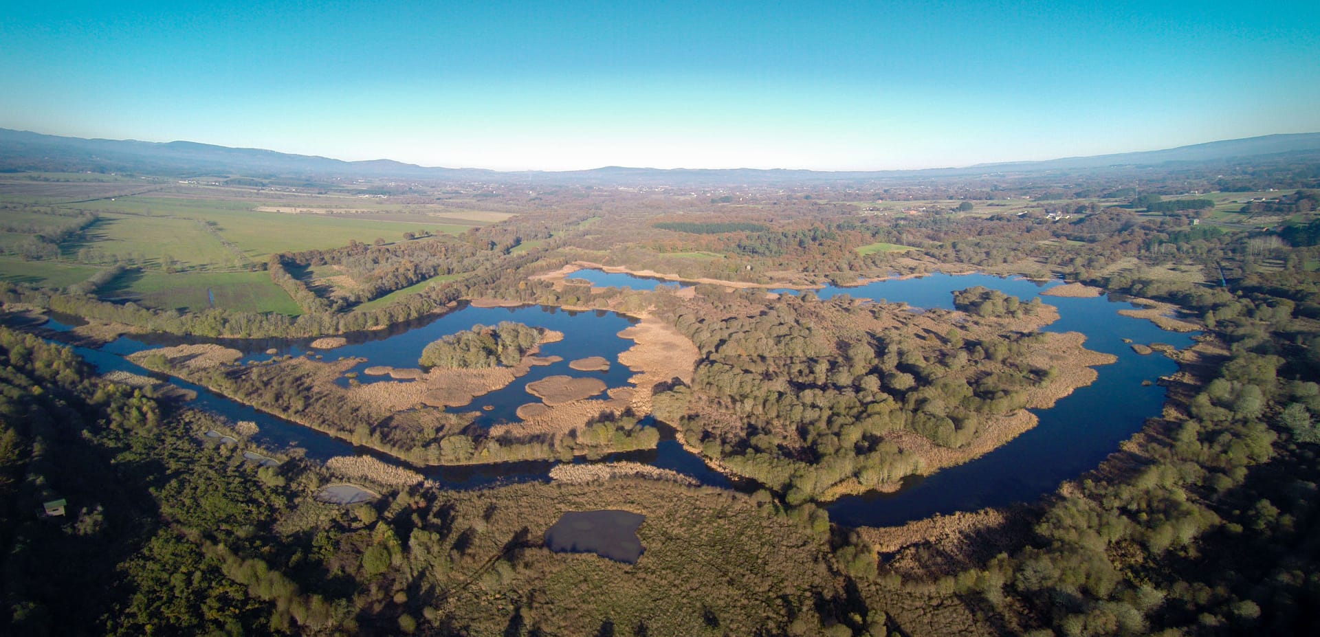 Baño de bosque e iniciación al Haiku