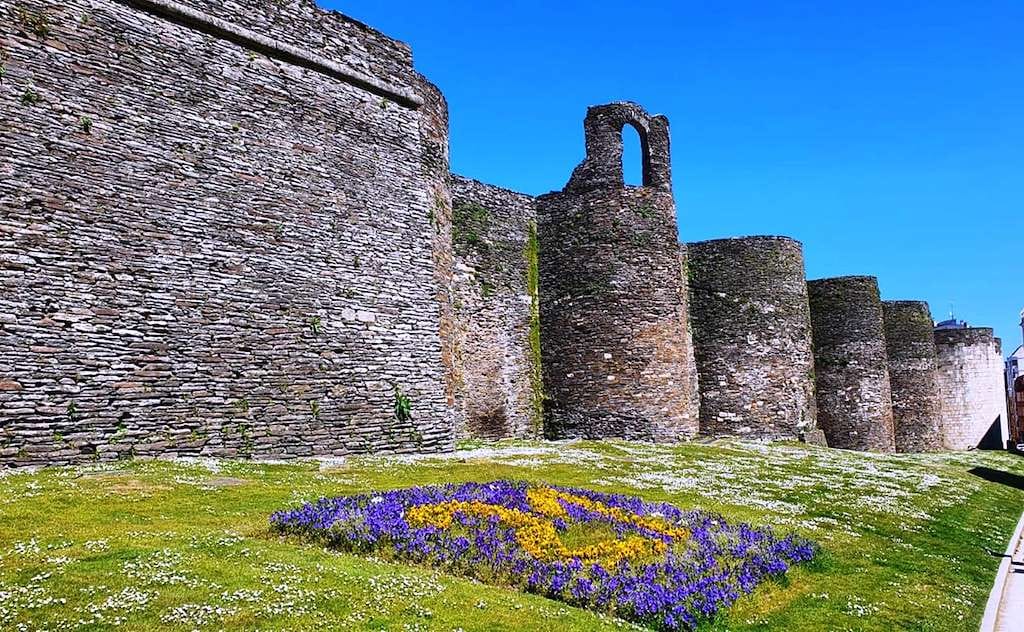 Sanxillao Burger Challenge