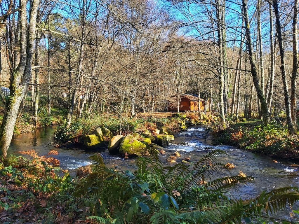 Andaina pola ruta da Chousa para conmemorar o Día da Muller Rural