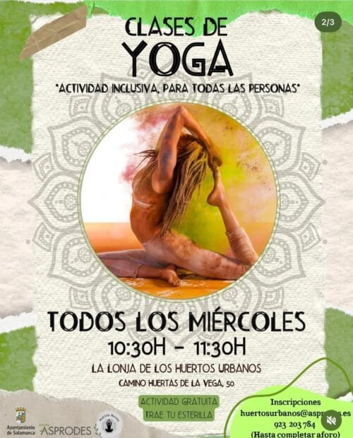 Clases de yoga al aire libre