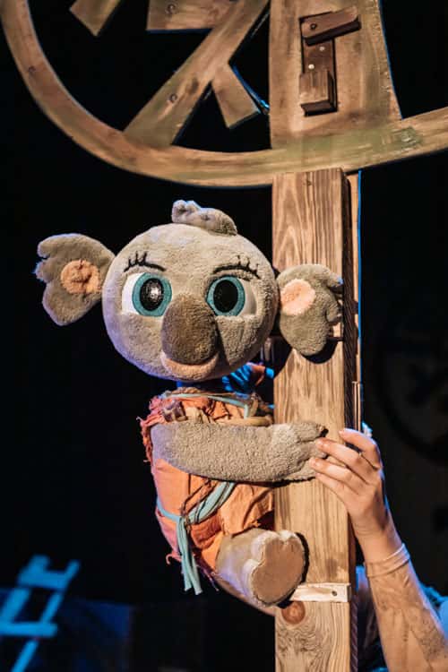 Bunji, la pequeña Koala