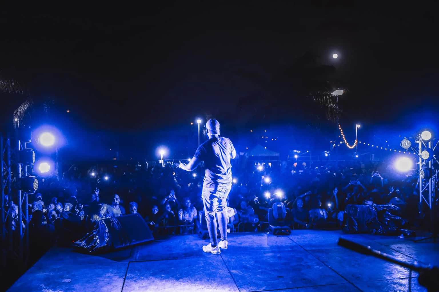 The Artist: Behind the Artistry